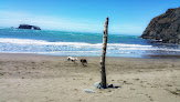 Negocio Goat Rock State Beach - Sonoma Coast State Park