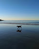 Negocio Goochs Beach