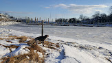 Negocio Grass Island Dog Park