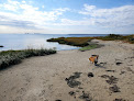 Negocio Graveling Point Beach