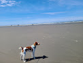 Negocio Grayland Beach State Park