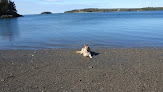 Negocio Grays Beach