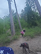 Negocio Green Bay Campground Beach