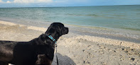 Negocio Gulfside City Beach Park (Algiers)