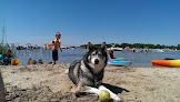 Negocio Haines Beach