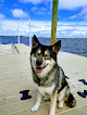 Negocio Hammocks Beach State Park