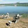 Negocio Happy Tails Dog Park