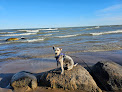 Negocio Harrington Beach State Park