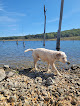 Negocio Harry S Truman State Park