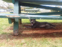 Negocio Hawaiian Beaches Park