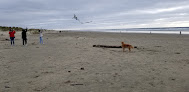 Negocio Heceta Beach County Park