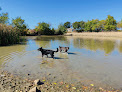 Negocio Heritage Park Dog Off-Leash Area