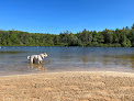 Negocio Hickory Run State Park