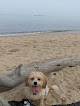 Negocio Higbee Beach