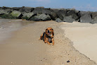 Negocio Higbee Beach Wildlife Management Area