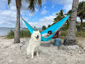 Negocio Hobie Island Beach Park North