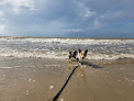 Negocio Holly Beach