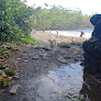 Negocio Honoli'i Beach Park