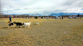 Negocio Hugh Rogers Wag Park