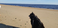 Negocio Ideal Beach