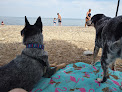 Negocio Indiana Dunes National Park Lakeview