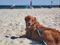 Negocio Island Beach State Park