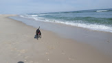 Negocio Island Beach State Park