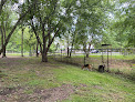Negocio Island Dog Park
