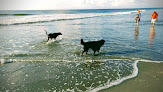 Negocio Isle Of Palms County Park