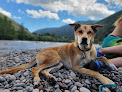 Negocio Jacobs Island Offleash Dog Park (Swimming Access)