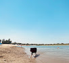 Negocio Jefferson County Lake