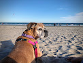 Negocio Jenness Beach