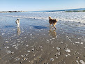 Negocio Jenness State Beach