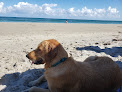 Negocio Jupiter Off-Leash Dog Beach