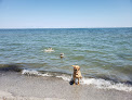 Negocio K-9 Coastline