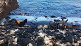 Negocio Kahului Beach