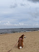 Negocio Keansburg Beach