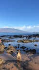 Negocio Keawakapu Beach