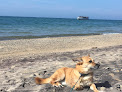 Negocio Kemil Beach