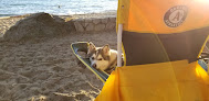 Negocio Kings Beach State Recreation Area
