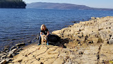 Negocio Kingsland Bay State Park