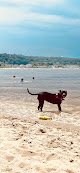 Negocio Kite Beach