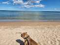 Negocio Kohler-Andrae State Park