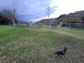 Negocio Laguna Beach Dog Park