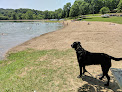 Negocio Lake Alma State Park