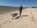 Negocio Lake Charles Beach Picnic Area