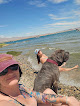 Negocio Lake Havasu State Park