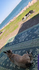 Negocio Lake Poinsett Recreation Area