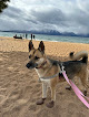 Negocio Lam Watah Nature Trail To Nevada Beach