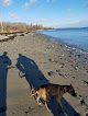 Negocio Lamoine Beach Park